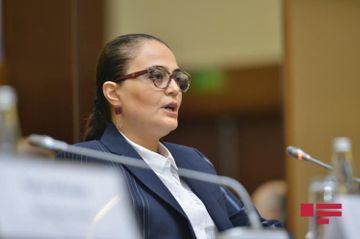 "Seçkilər daha peşəkar deputat korpusunun formalaşmasına hədəflənib" - RƏSMİ