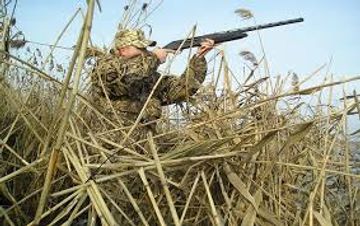 İcazəsiz ov edənlər cəzalandırıldı