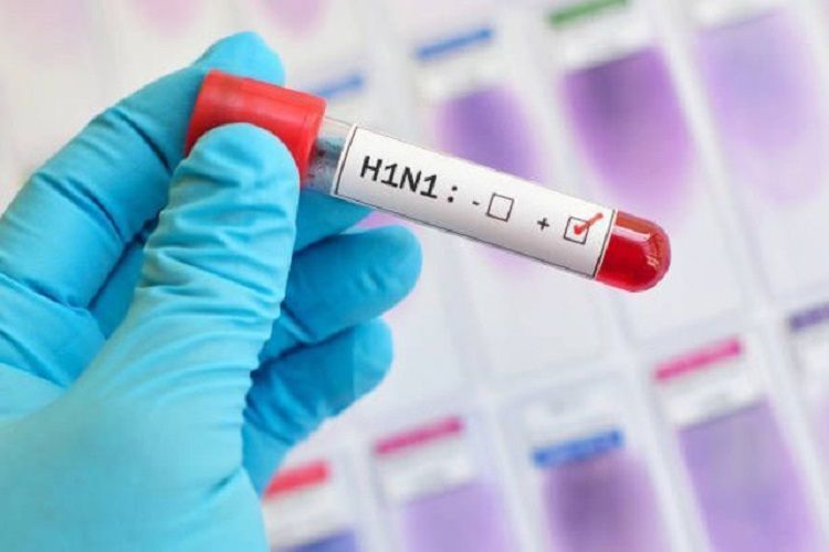 Azərbaycandan Gürcüstana gedən Çin vətəndaşlarında "donuz qripi" aşkarlandı