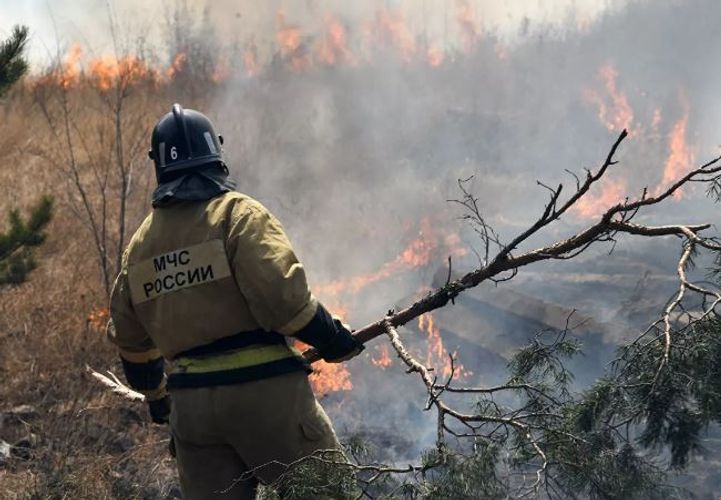 Rusiyada son bir gündə 82 meşə yanğını söndürülüb