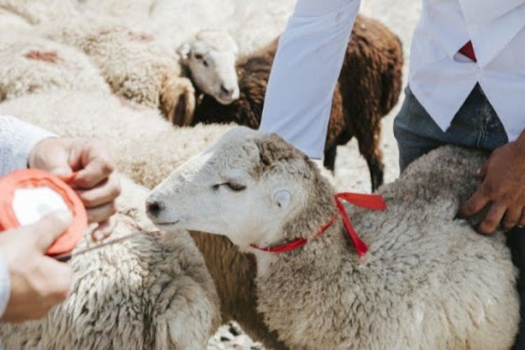 Dörd günlük bayram tətili başlayır