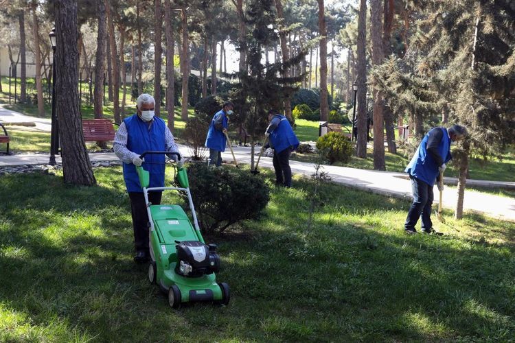 Ödənişli ictimai iş yerlərinin sayı AÇIQLANDI