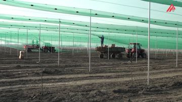 Qubada alternativ enerji ilə işləyən “ağıllı bağ” yaradılıb - VİDEO