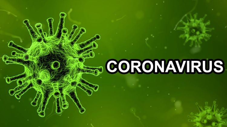 Koronavirus Ermənistanda 6 nəfəri də öldürdü