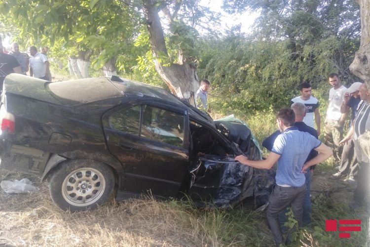 BMW ağaca çırpıldı: yaralılar var - FOTO