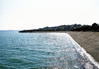 Ceyranbatan su anbarının yaxınlığındakı yanğın söndürüldü - YENİLƏNİB