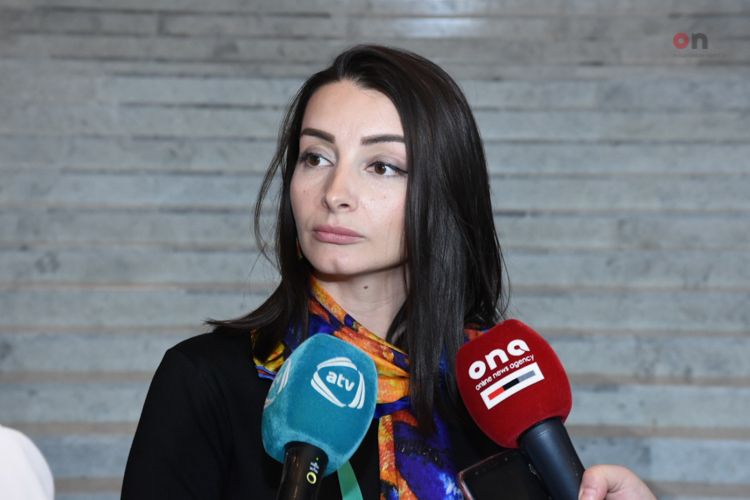 Leyla Abdullayeva: "Absurd mövqeyi ilə Ermənistan tərəfi özünü kifayət qədər gülünc vəziyyətə qoyur”