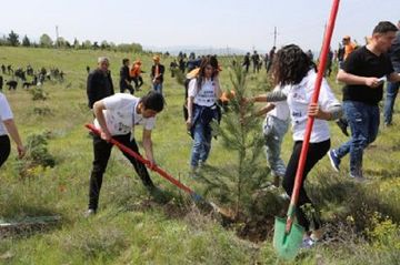 Azərbaycanda 3 gündə 64 mindən artıq ağac əkilib