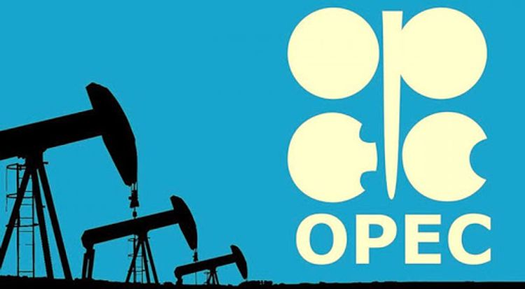 OPEC ölkələri neft hasilatının azaldılmasına razılaşdı 