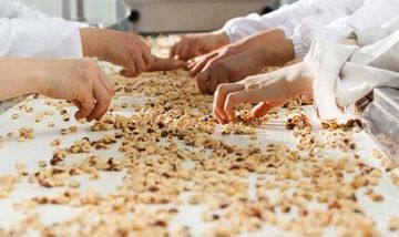 Azərbaycanda zavoddan 20 min manatlıq fındıq ləpəsi oğurlandı