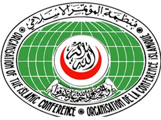 Qarabağdakı qondarma "seçkilər" BMT qətnamələrinə ziddir - İƏT