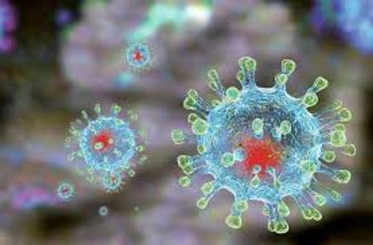 92 yaşlı şəxs koronavirusdan sağalıb - AZƏRBAYCANDA