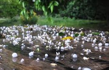 Sabah bu ərazilərdə dolu gözlənilir - PROQNOZ