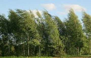 Sabah hava küləkli olacaq - PROQNOZ