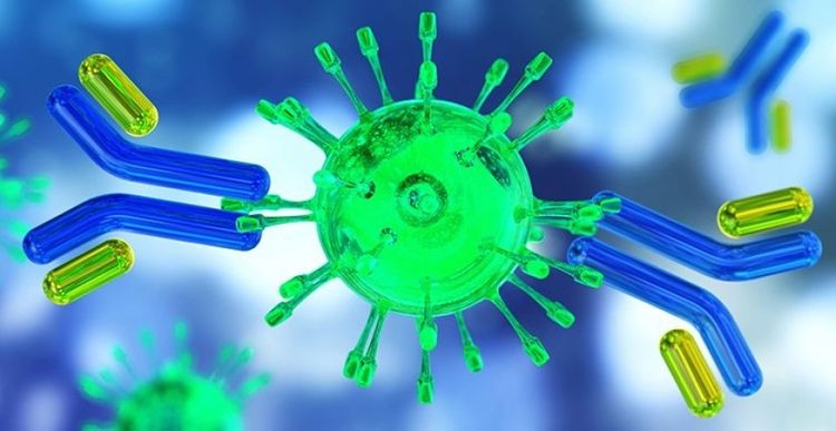 Virusa yoluxandan nə qədər sonra immunitet yaranır?