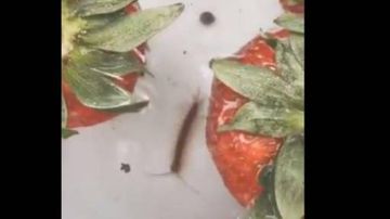 İnanılmaz çiyələk sınağı: Evdə etməyin, peşman olarsınız- VİDEO