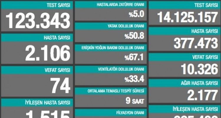 Türkiyədə COVID-19-dan 74 nəfər ölüb