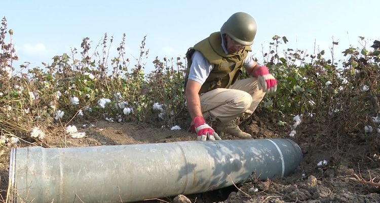 Ağcabədidə düşmənin atdığı “Smerç” raketinin döyüş başlığı aşkarlandı