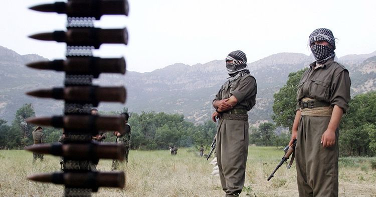 Qarabağda daha 12 PKK/YPG terrorçusu məhv edilib