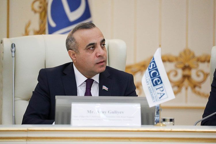 “Məsul şəxslər cinayətlərin qarşısını almalıdırlar” - Azay Quliyev