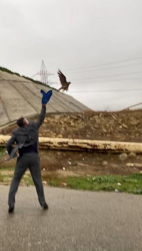 Azərbaycanda qanunsuz ov edən əcnəbi cərimələndi - FOTO