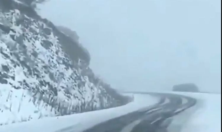 Kəlbəcərdən ən son - VİDEO