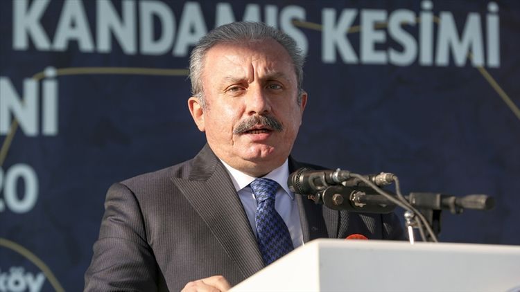 “Atatürkün Naxçıvanla bağlı cəhdi illər sonra səmərəsini verdi” - Mustafa Şentop