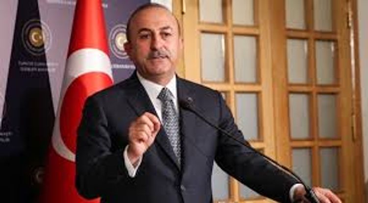 "Beynəlxalq təşkilatlar Ermənistanı münaqişəyə yox, sülhə həvəsləndirməlidir" - Çavuşoğlu