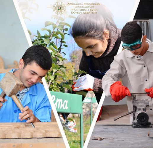 Peşə məktəblərinə sənəd verənlərin sayı AÇIQLANDI