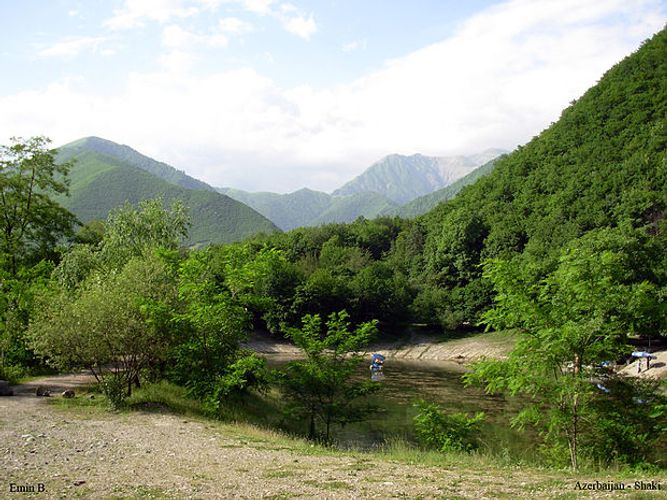Qəbələdə 5 nəfər meşədə köməksiz qaldı