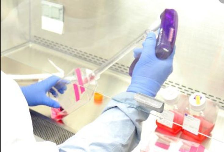 Müəllimlər koronavirus testindən keçiriləcək?