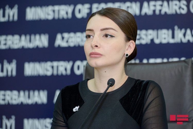 "Azərbaycan Prezidenti Ermənistanın təcavüzkar siyasətini ifşa edib" - XİN