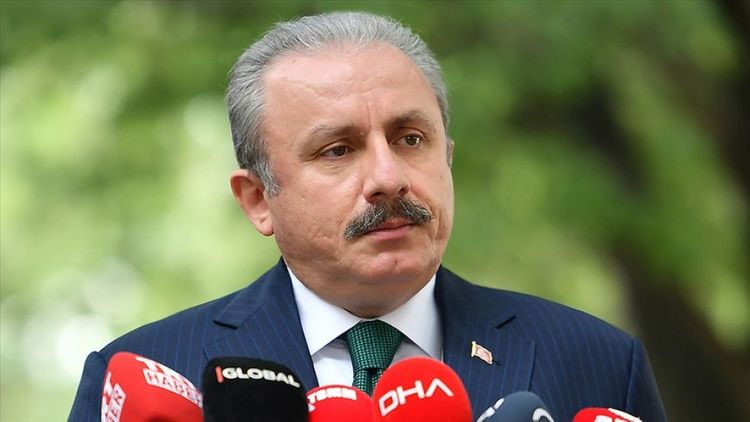 Türkiyə bütün gücü ilə Azərbaycanın yanındadır" - Parlament sədri