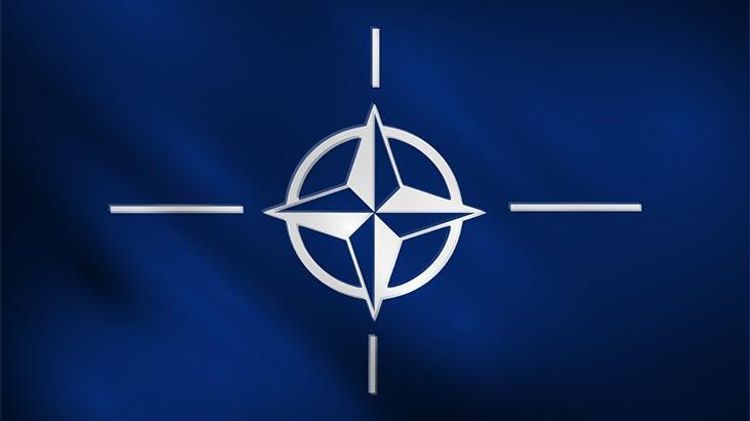 Döyüş əməliyyatları dərhal dayandırılmalıdır - NATO