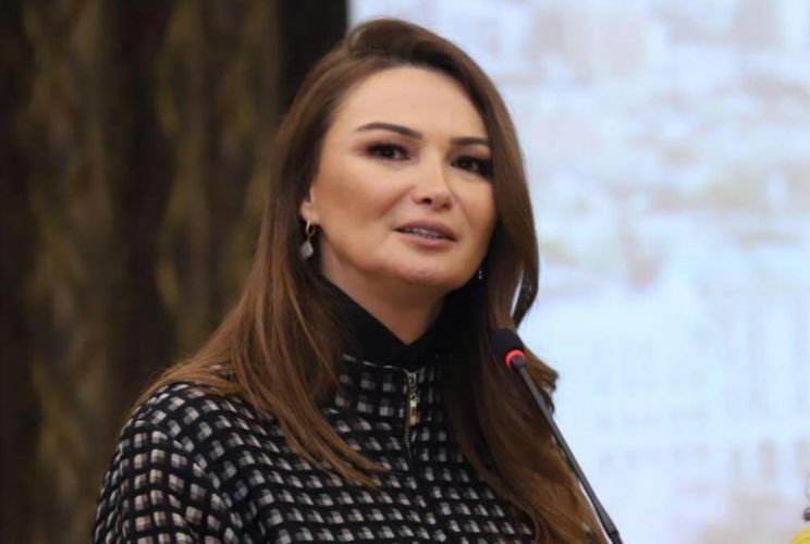 “Paşinyan siyasi cəhətdən qeyri-yetkin olduğunu göstərdi” - Qənirə Paşayeva