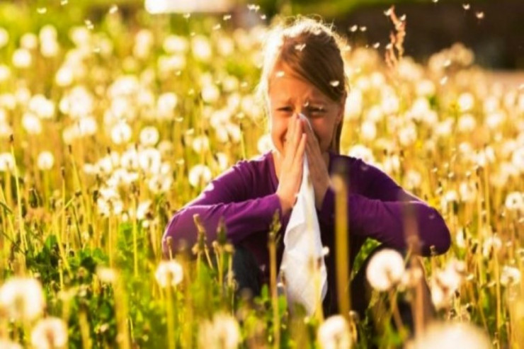 Yaz allergiyasının səbəbləri:  Qarşısını necə alaq?  