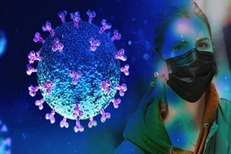 Koronavirusa çox bənzəyən yeni virus tapıldı