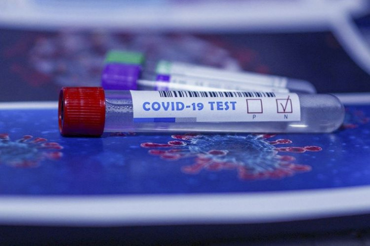 Avropanın 22 ölkəsində mutasiyaya uğramış koronavirusa yoluxma aşkarlandı