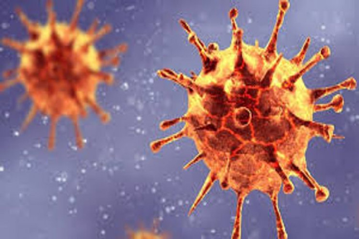 Koronavirusun yeni ştammı ilə bağlı TƏBİB-dən AÇIQLAMA 