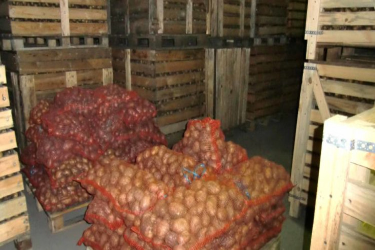 Anbardan 5 ton kartof oğurlandı