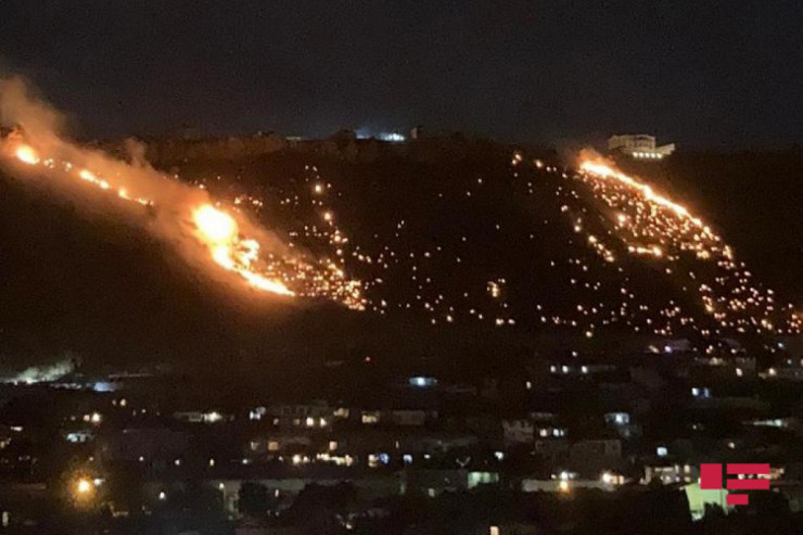 Badamdar, yanğın baş verən sahə