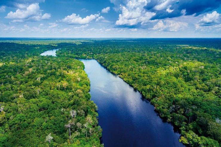 Amazon meşələri PLANETİ ZƏHƏRLƏYİR  – Ümidlər boşa çıxır…
