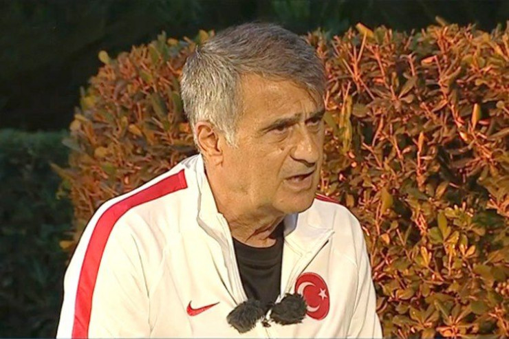 Şenol Günəş, Türkiyə millisinin baş məşqçisi
