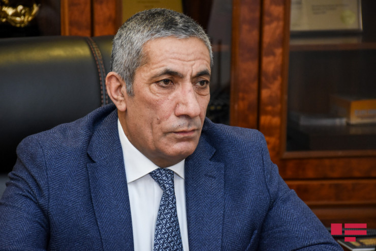 Siyavuş Novruzov, deputat