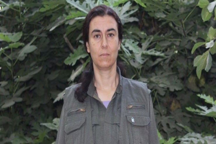 Nazlı Taşpınar