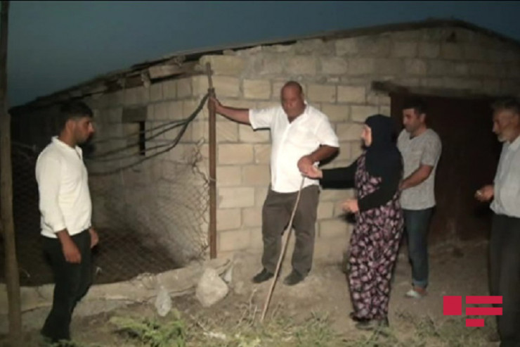 Ağsuda fermadan iribuynuzlu heyvanı oğurlandı - FOTO 