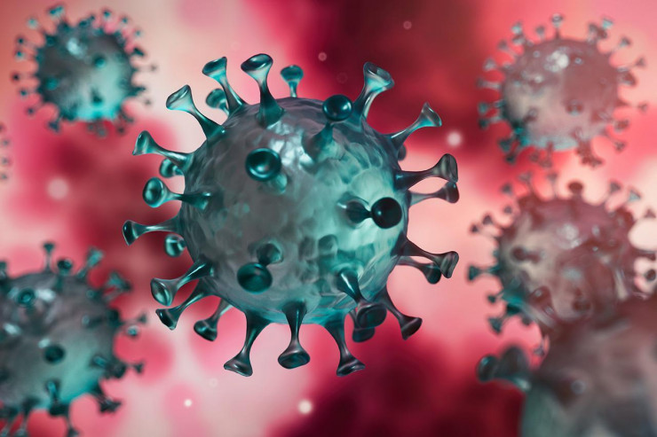 Professordan  ŞOK İDDİA:   “İnsanları öldürən koronavirus deyil”