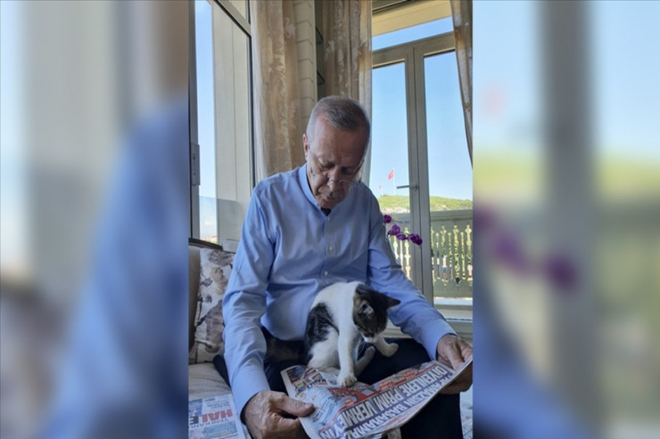 Rəcəb Tayyib Ərdoğan, Türkiyə Prezidenti