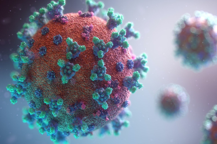 Koronavirusun yeni ştammı  AŞKARLANDI  