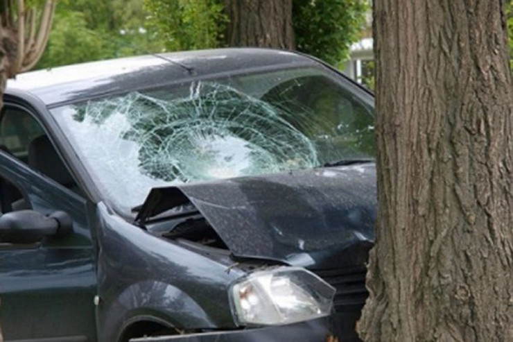 "Mercedes" ağaca çırpıldı: sürücü... 